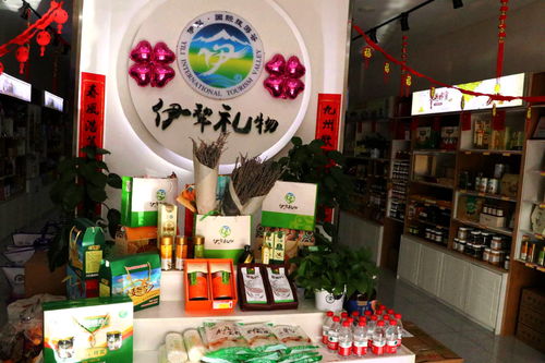 文化创意点亮丝路 新疆伊犁第三届‘伊犁礼物’文旅商品创意设计大赛正式启动